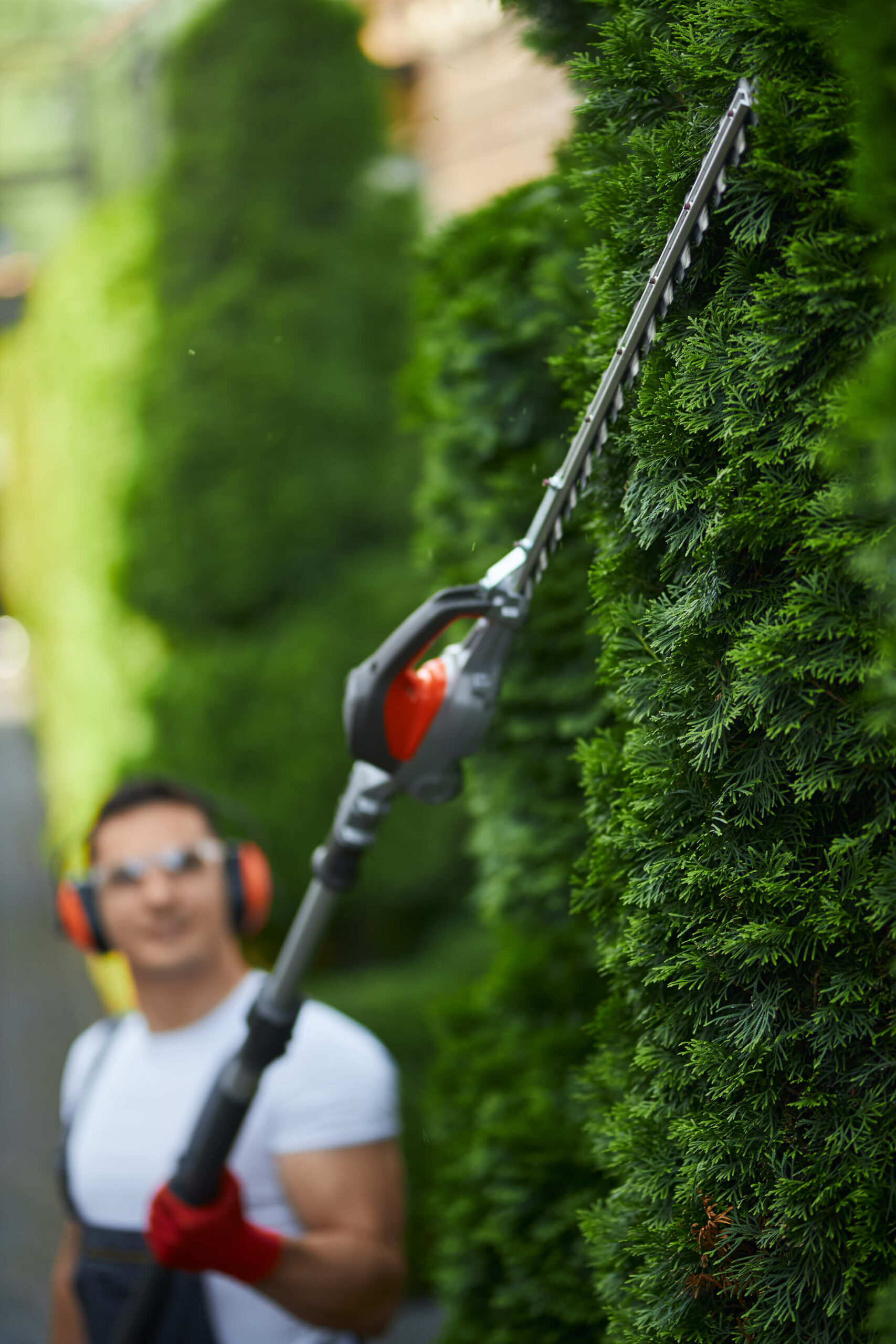 Elagueur professionnel avec son casque en pleine action