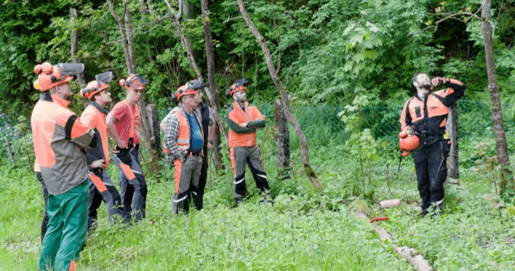 Groupe d'élagueurs en formation