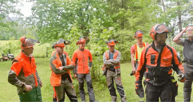 Formation d'arboriste et d'élagueurs grimpeurs