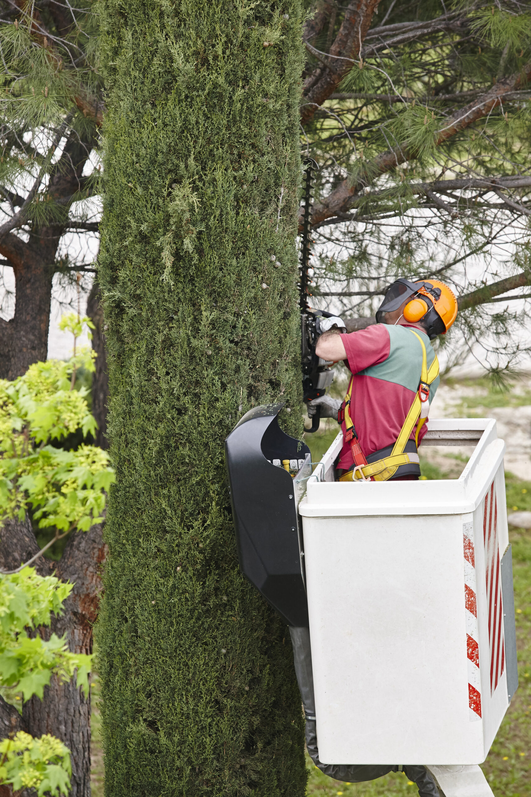 elagueur grimpeur sur une machine en hauteur