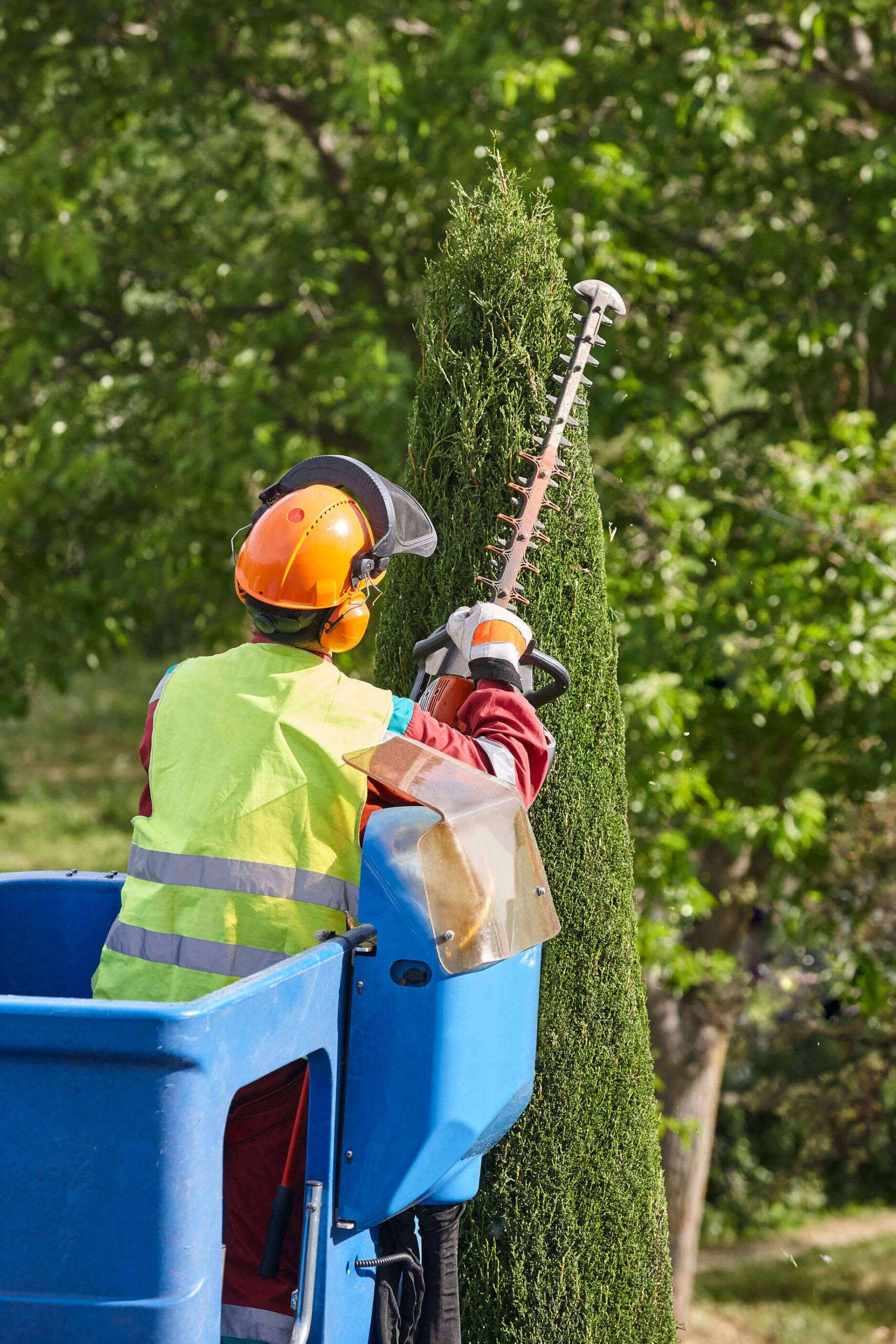 Elagueur paysagiste qui travaille sur un arbre en hauteur