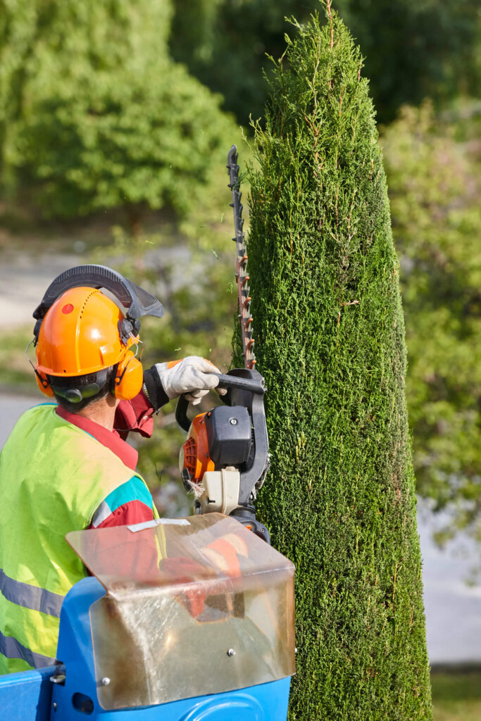 elagueur arboriste avec un casque