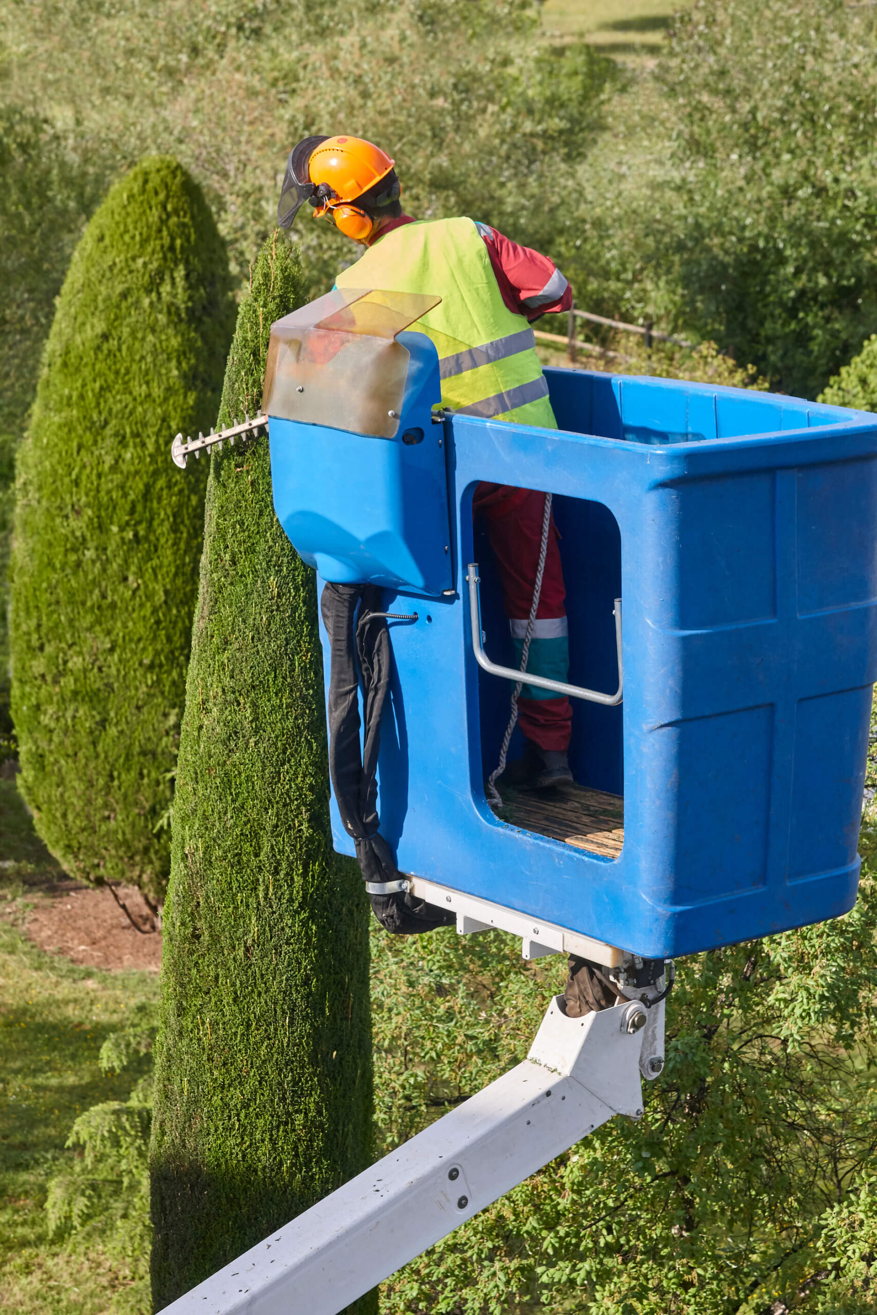 élagueur arboriste placé sur nacelle d'élagage