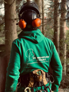 Photo prise de dos d'un élagueur habillé en vert avec un casque sur la tête